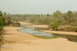 Major River at Pre-Monsoon low in Bandhavgarh