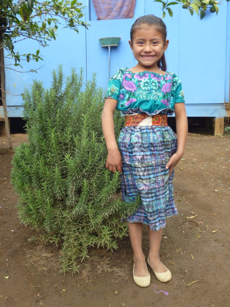 Help 4 Guatemalan Children Have Bright Futures!