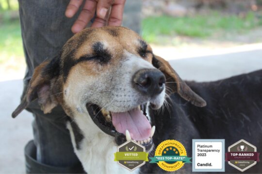 Enjoying life at the sanctuary