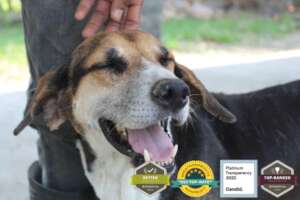 Enjoying life at the sanctuary