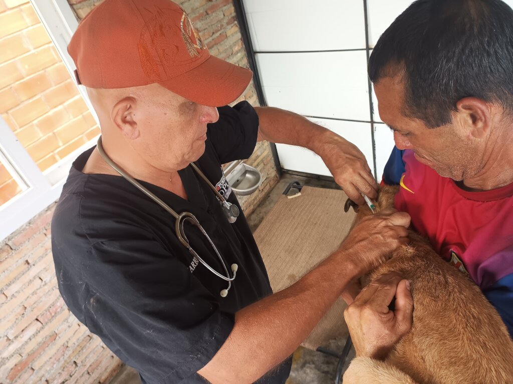 Veterinarian attending pets - SAI Venezuela Welcome Dr. Tariba
