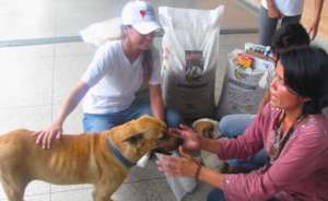Staff & Volunteers give medical care to rescues.