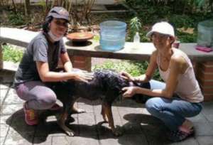 SAI Volunteers give recent rescue a bath!