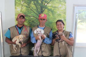 New arrivals at SAI-A&G sanctuary!