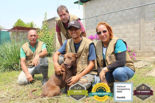 SAI team at our beautiful dog sanctuary