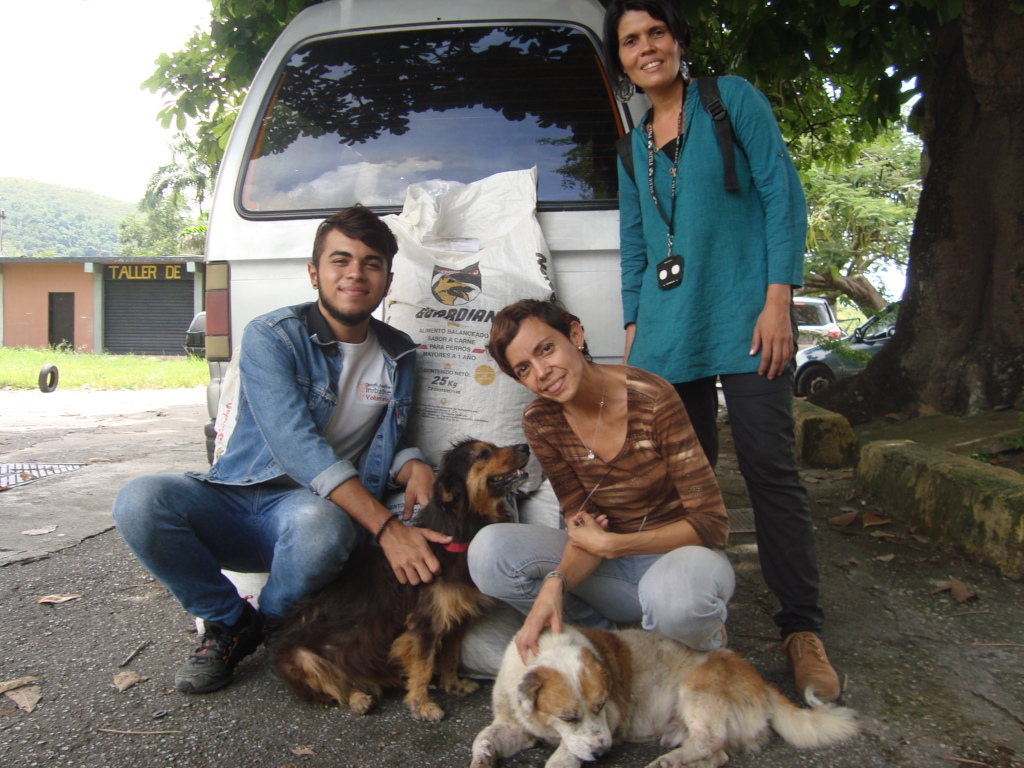 Abandoned dogs feel safe and loved with SAI Team