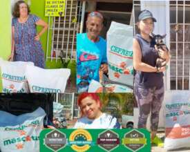 giving dog food to our partner shelters