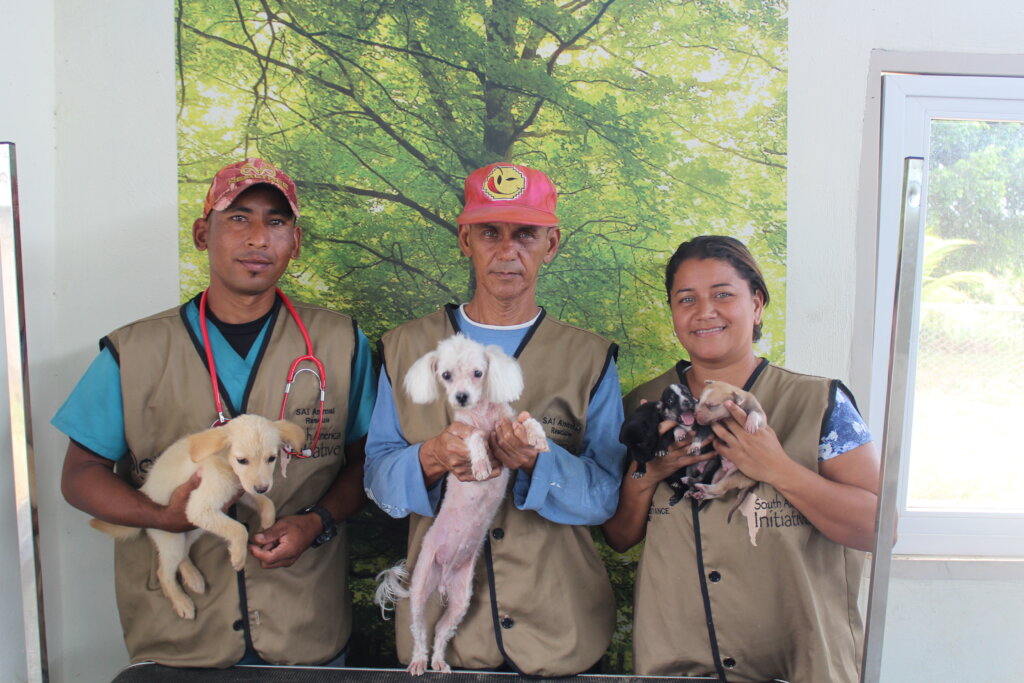 Save 125 Dogs Lives: Shelter, Food Vet Care GlobalGiving