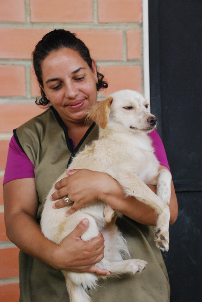 Save 125 Dogs Lives: Shelter, Food & Vet Care