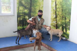 Happy rescue dogs, nurtured back to health.