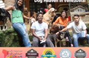 Save 125 Dogs Lives: Shelter, Food & Vet Care