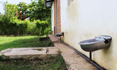 Water stations in the backyard of the sanctuary