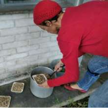 Everyone loves to feed the dogs! It's the best!