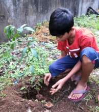 Plant a Tree : Source of Life