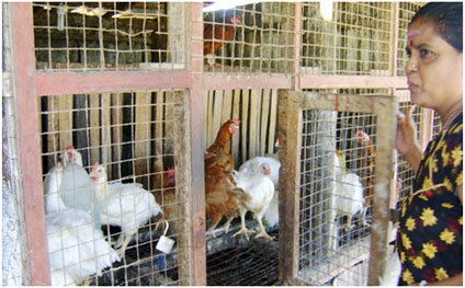 Rural Women Economic Empowerment