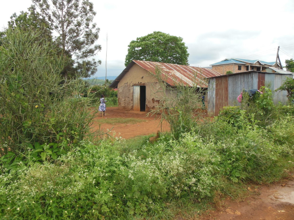 Brian's Tears Need to Stop!