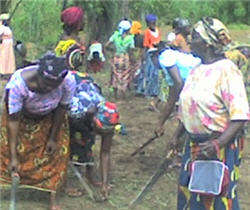 Women work to clear ground.