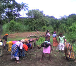 Women working in a co-operative.