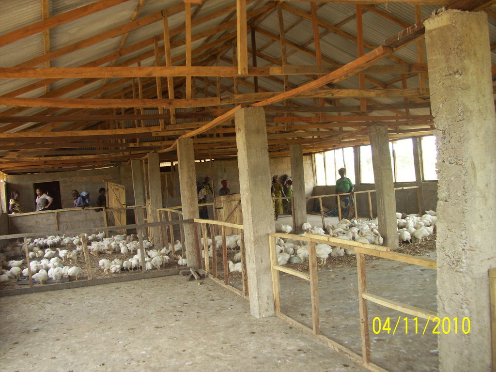 Help Women in Nigeria Become Poultry Farmers