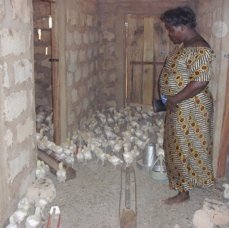 A participant in a poultry house.