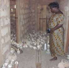 A participant in a poultry house.