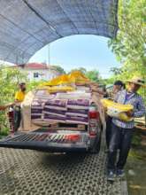 Delivering 1 tonne of rice
