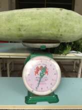 We grow them BIG!!