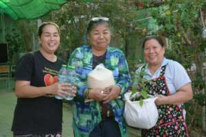 Receiving plants, water and rice.