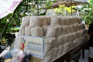 5kg rice packs