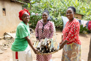 Umva women ready to dye products