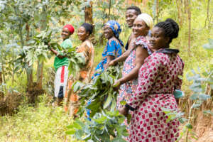 Umva dyers gathering native plants for dye making