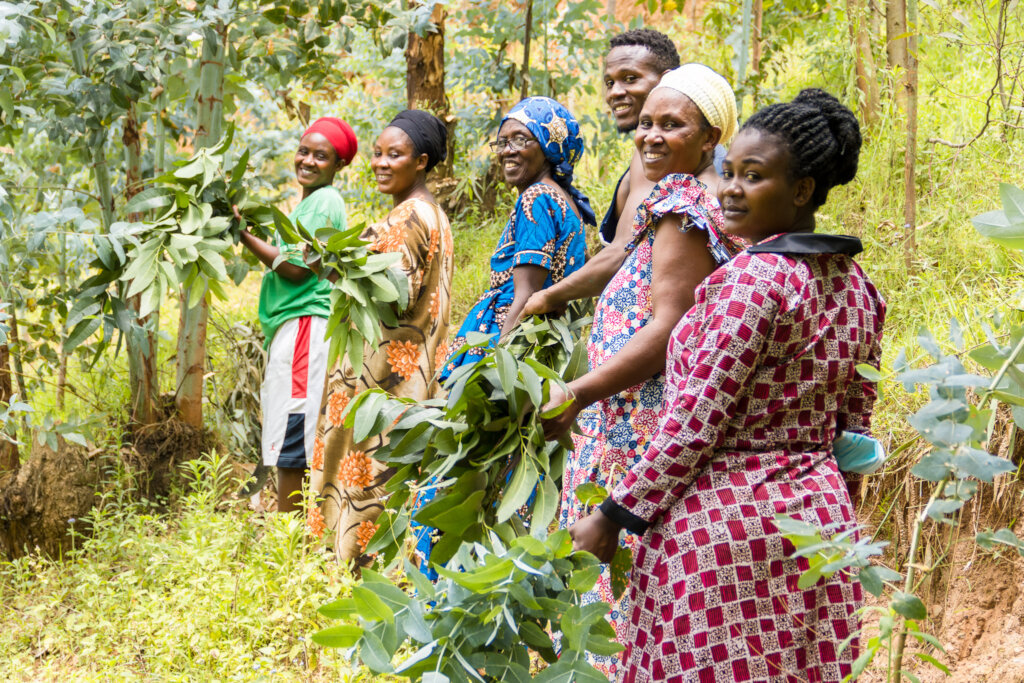 Dyeing For Peace in Rwanda