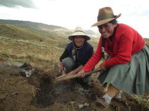 Susana and Celedonio harvest potatoes in Apurimac