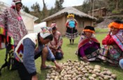 Help 25 Latin American youth change food systems