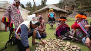 Help 25 Latin American youth change food systems
