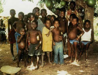 Build a shelter for 500 homeless orphans in Uganda