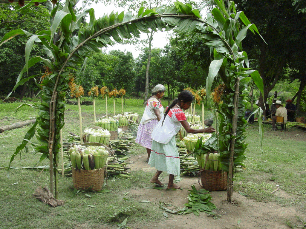 Language, culture and biodiversity in Mexico
