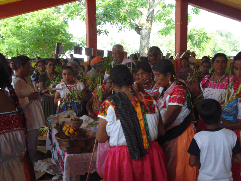 Language, culture and biodiversity in Mexico