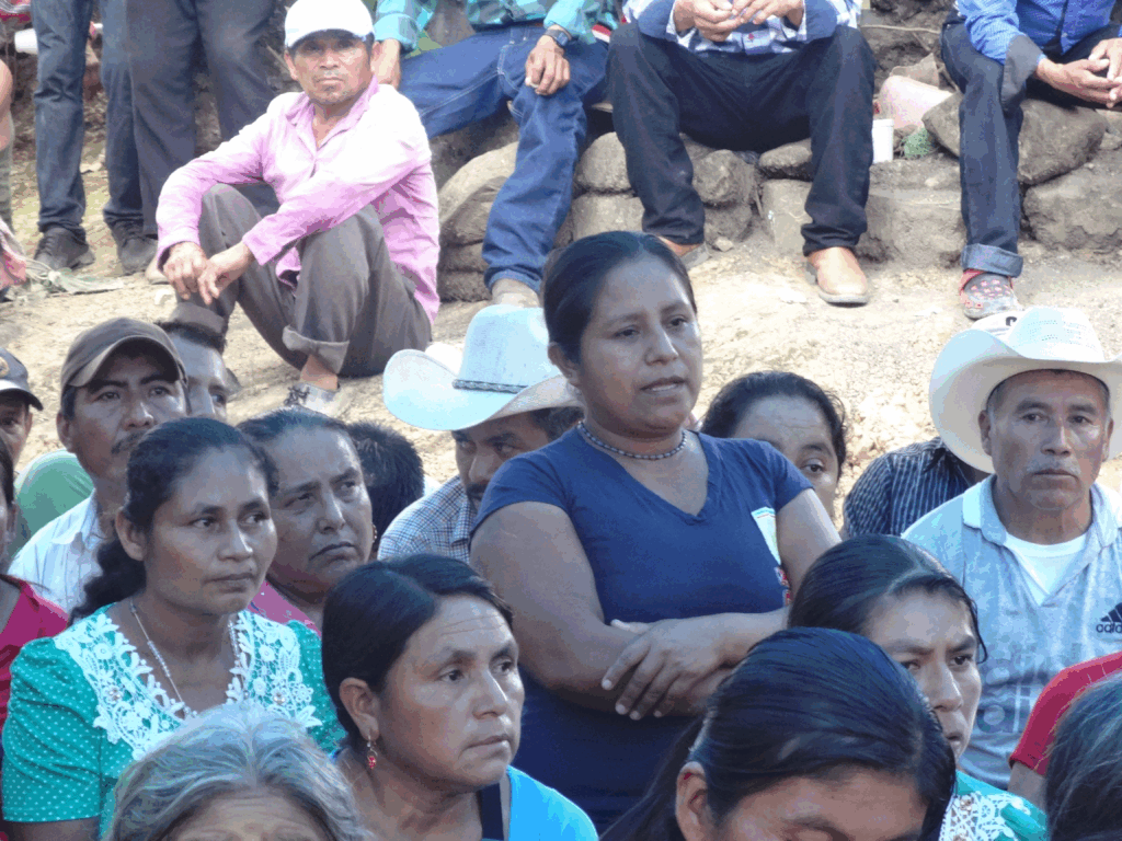 Language, culture and biodiversity in Mexico
