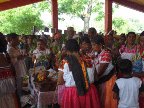 LOCAL CUSTOMS FOR CREATION CARE