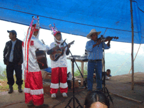TRADITIONAL MUSICIANS IN A FESTIVAL
