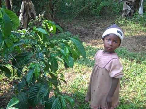 End HIV/AIDS in 28 Villages in NW Cameroon, Africa