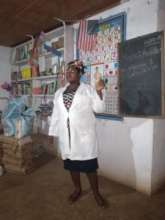 Will Executive Director teaching basic health