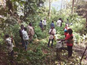 Road Construction in forest