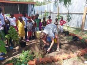 Tree planting