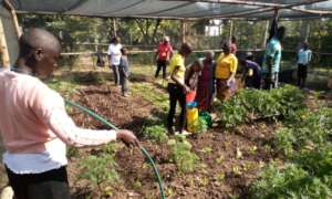 Farming