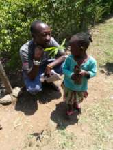 Tree Planting