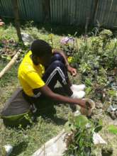 Gardening