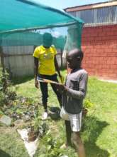 Gardening