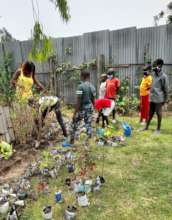 Tree /flower planting
